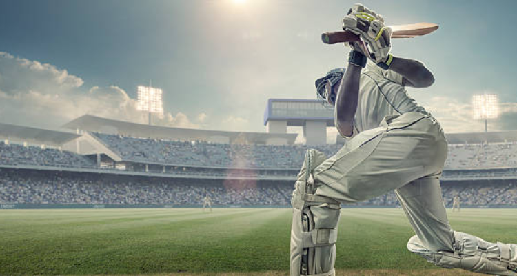 Urban Cricket Hub