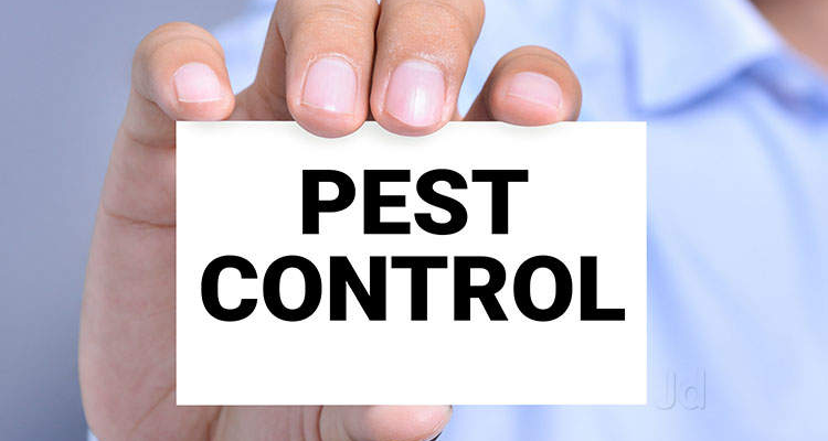 Pest Control Services Chennai
