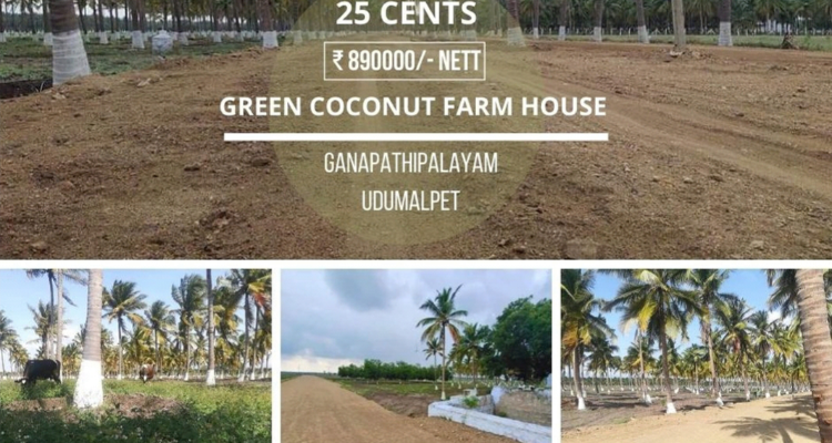 Land for sale