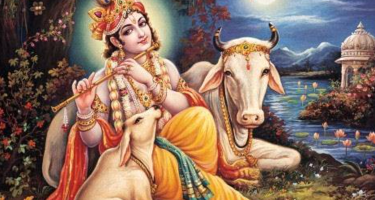 Astrology Gauri Shankar Jyotish Kendra