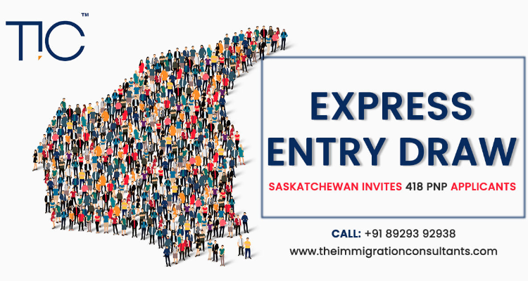 The Immigration Consultants