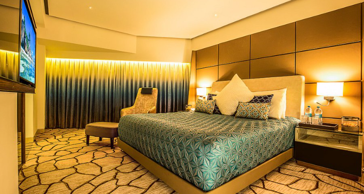 Sayaji Hotel