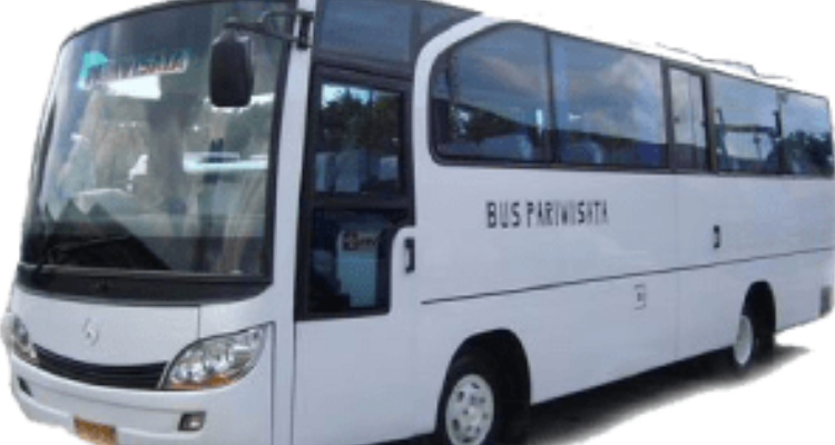 TRIP N STAY