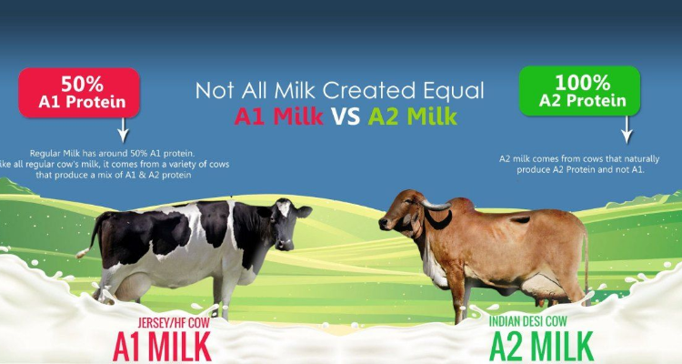 A2 Gir Cow Milk
