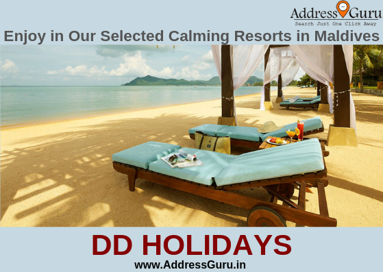 DD HOLIDAYS