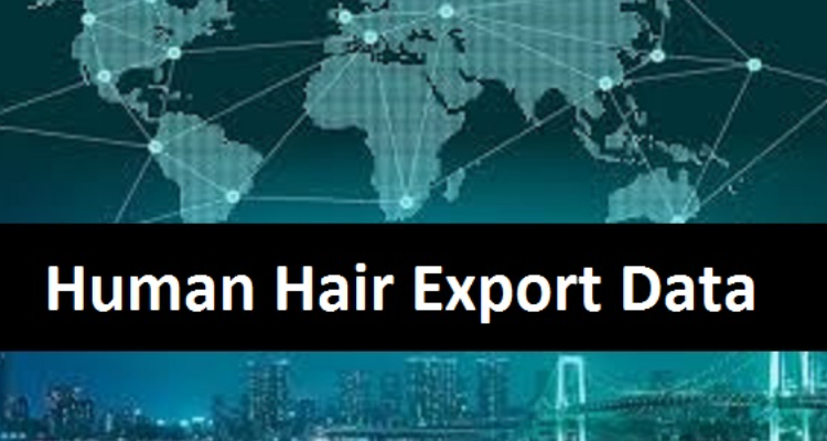 Human Hair Export Data: Make the Best Sales Prospects