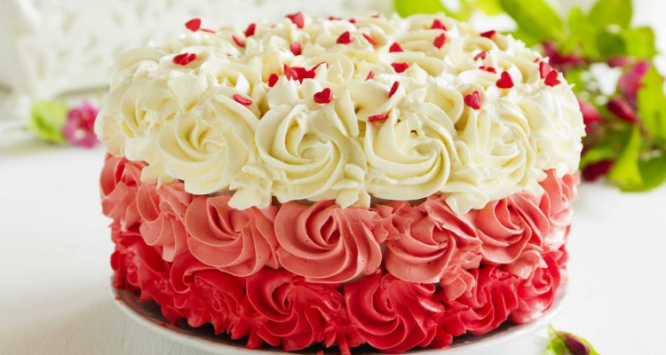 Bake N Bite Bakery - Jodhpur