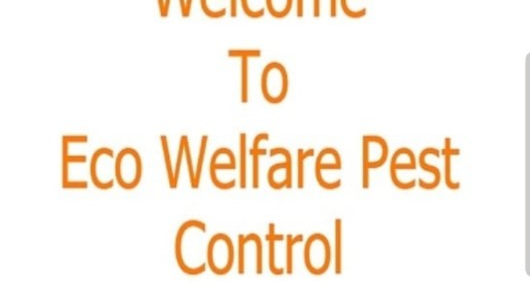 eco welfare pest control services