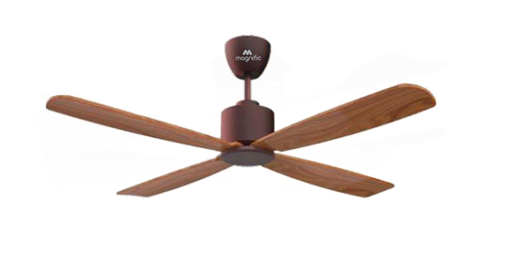 Magnific Fans