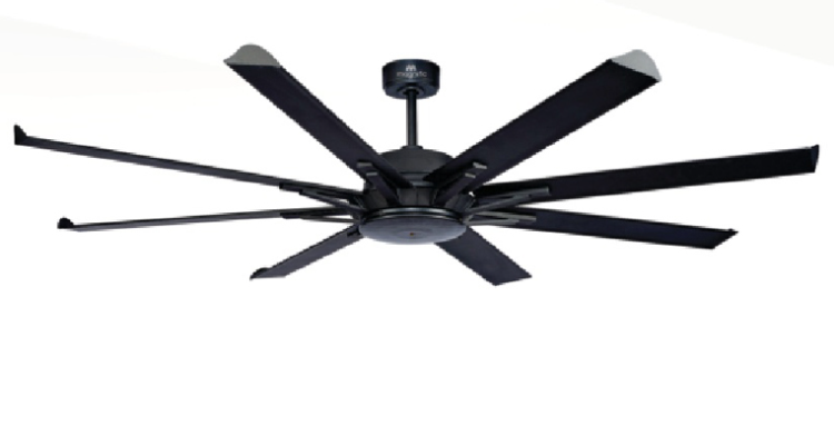 Magnific Fans