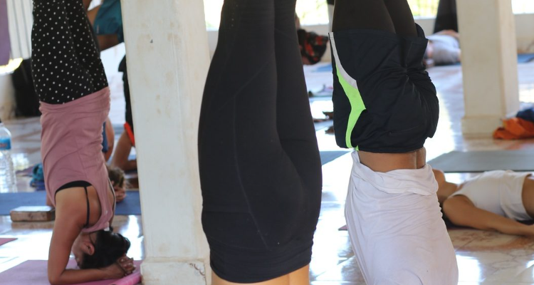 Universal Yoga Center