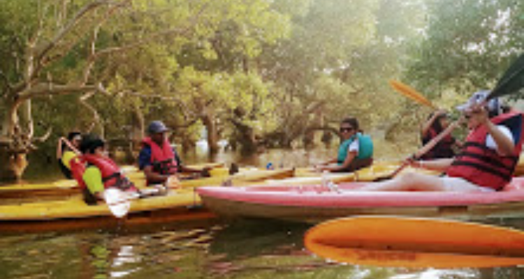 Goa Kayaking