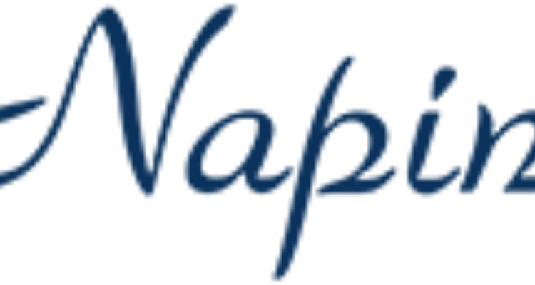 Napino Auto & Electronics Ltd. Sidcul Haridwar
