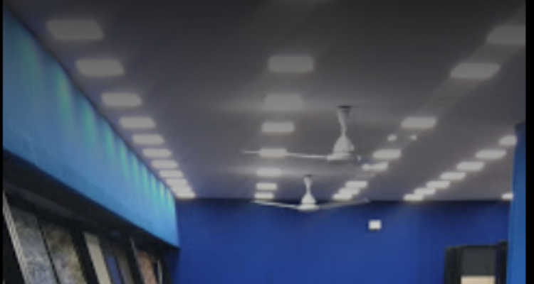 Professional Electrician