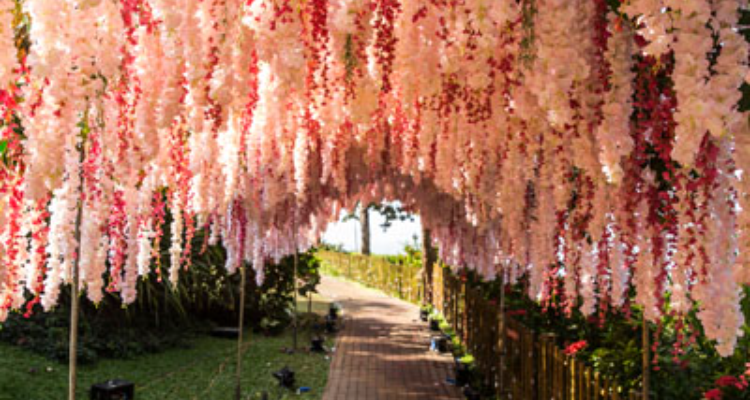 Royal Gala Weddings