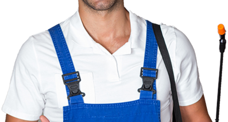 Godrej Pest Control