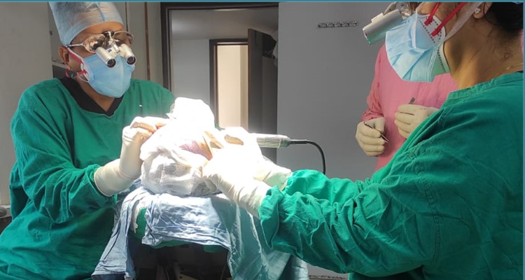 Rejuvenate Hair Transplant Centre