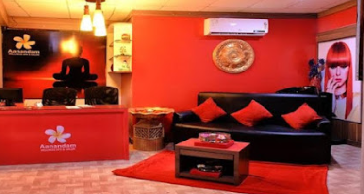 Aanandam Wellness Spa & Salon - Bilaspur