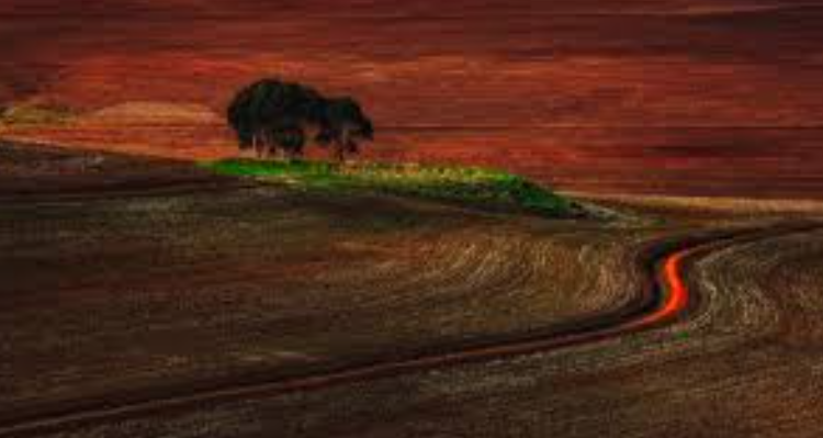 curve art photography - Guwahati