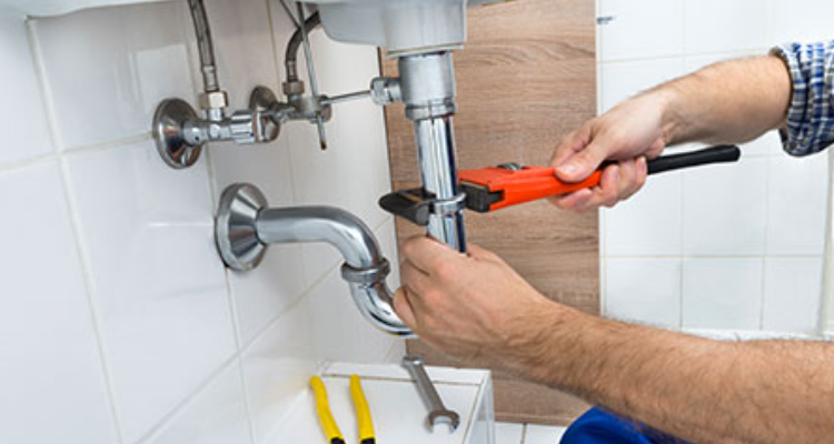Lucky Plumber