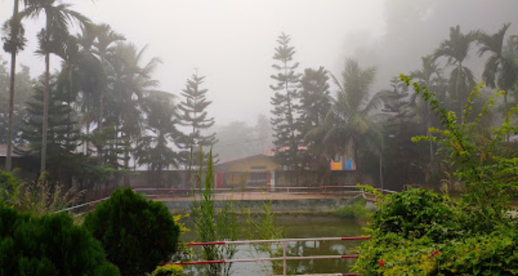 Global Gym - Guwahati