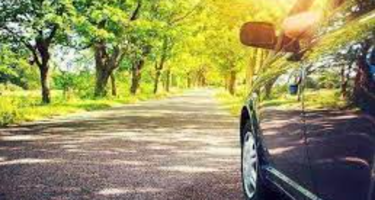 Taxi Services & Car Rental in Bhimta