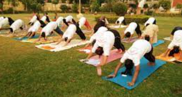 TARA YOG AND FITNESS YOGA