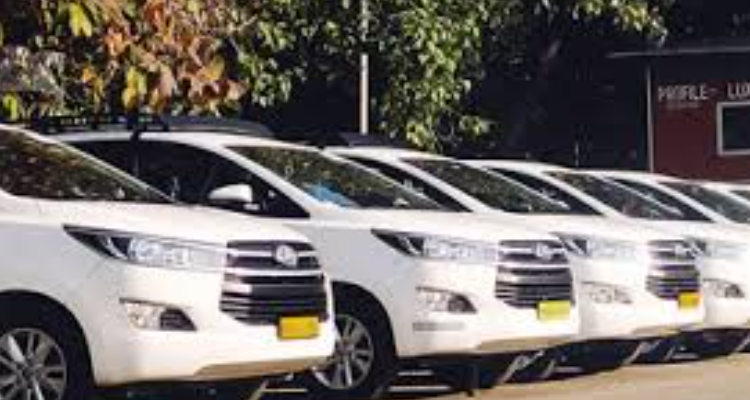 Binnypick Travel Agency