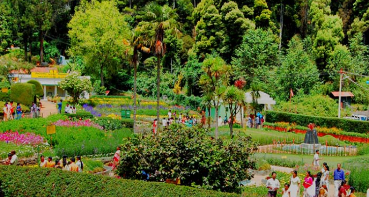Sri Ayyappas Tours And Travel