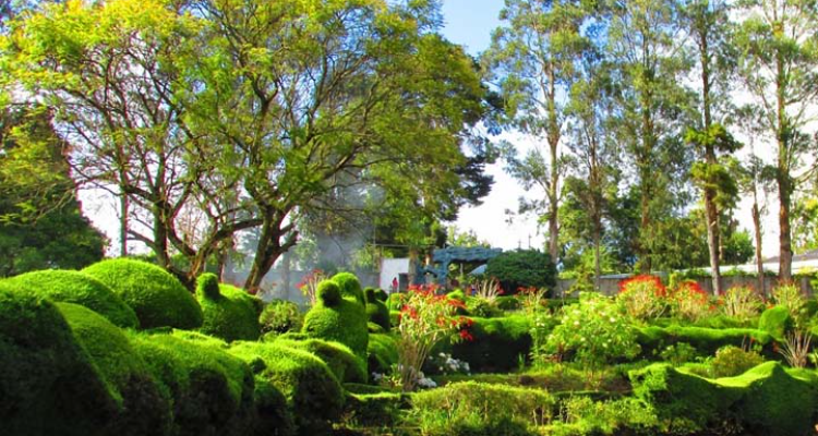 Sri Ayyappas Tours And Travel