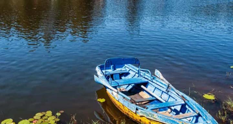Sri Ayyappas Tours And Travel
