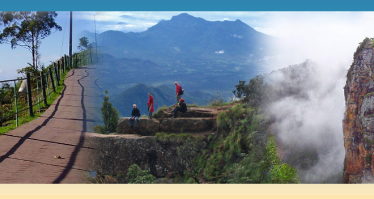 MRR Tours & Travels