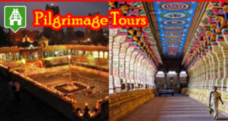 Raja's Tours and Travels