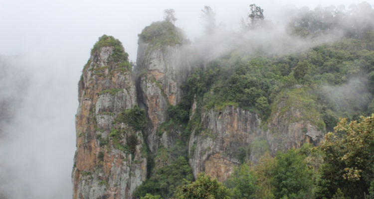 Chandramba Tours And Travels