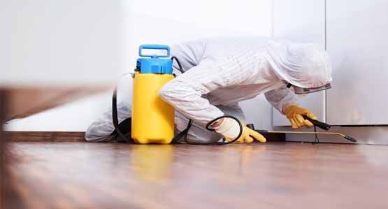 Pest Control Services in Chennai | Tamilnadu Pest Control