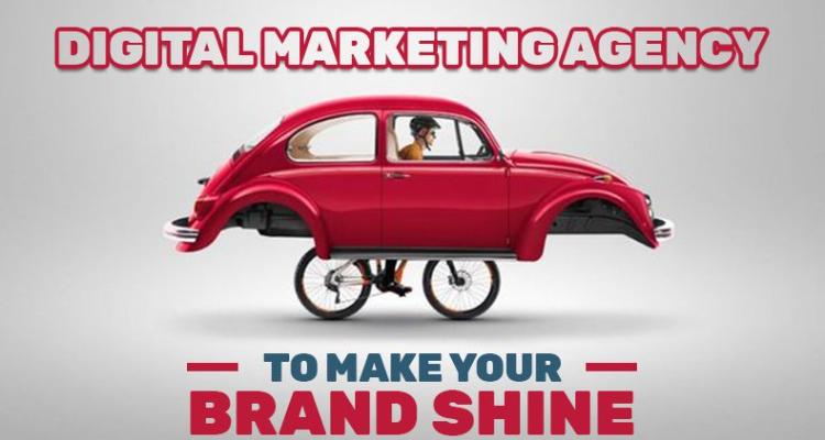 SEO Business Company