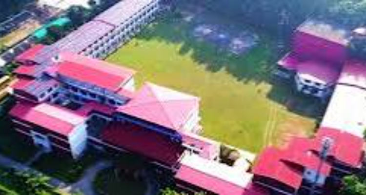 Dolphin Institute