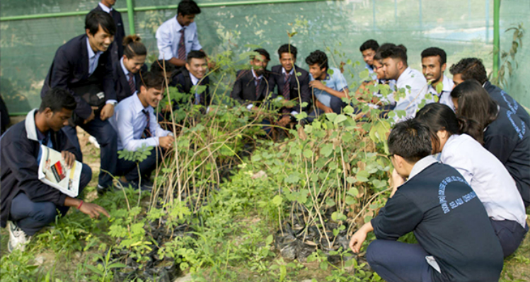 Doon (Pg) College Of Agriculture Science And Technology
