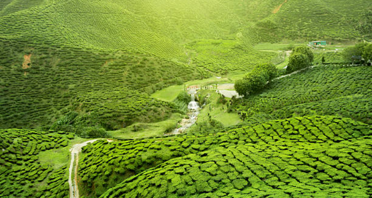 Kerala Holidays Pvt. Ltd.