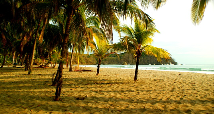 Kerala Holidays Pvt. Ltd.