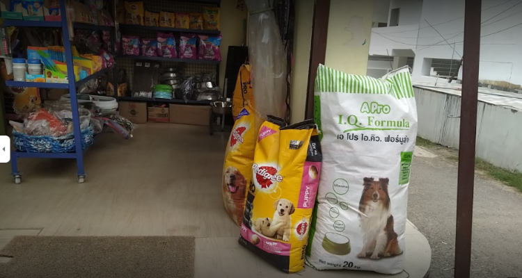 Global Pet World