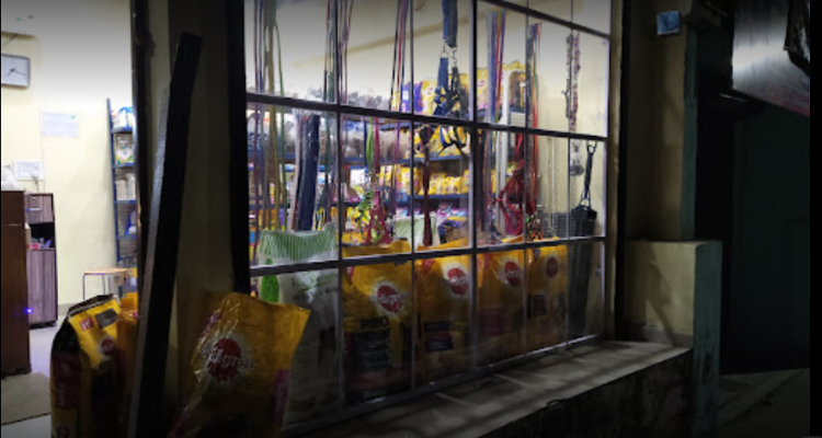 Global Pet World