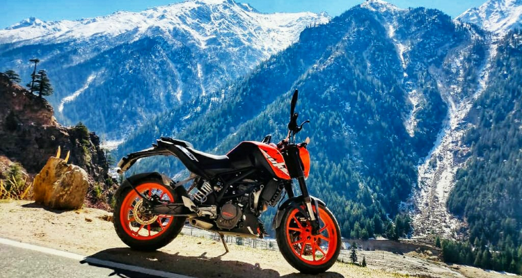The Saarang Rentals , Shimla