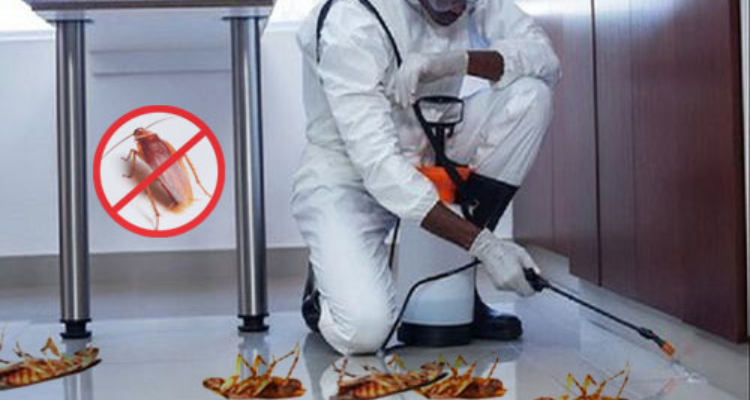 pest control sevices