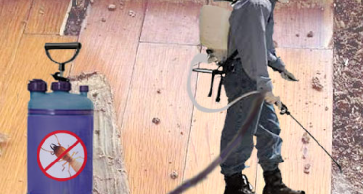 pest control sevices