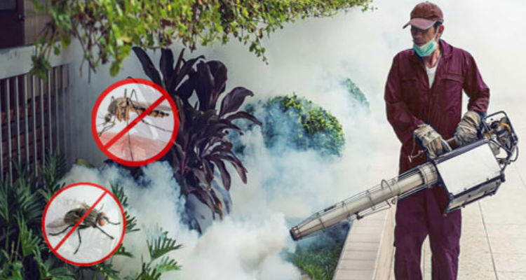 pest control sevices