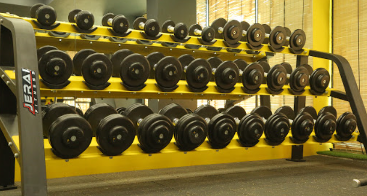Why Not Gym