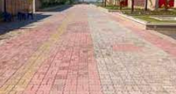 Vishwa party lawns & Banquet hall