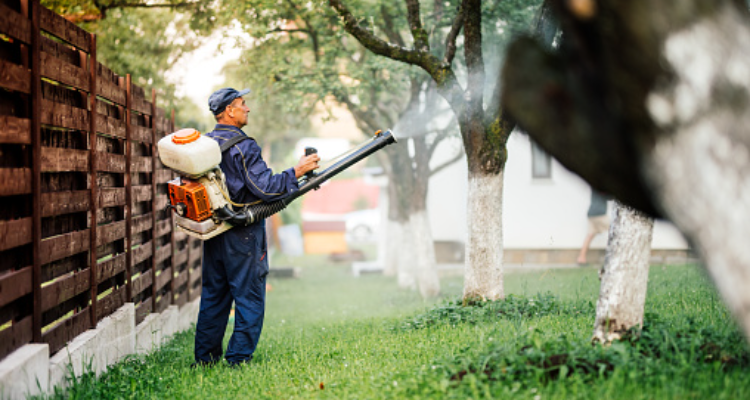 Hindustan Pest Control Services, Rajkot