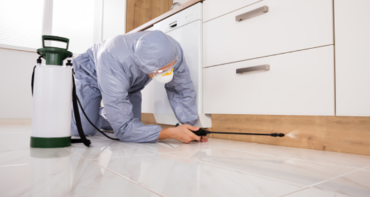 Hindustan Pest Control Services, Rajkot